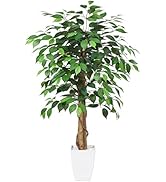 Amazonフェイクグリーン 光触媒 造花 人工 観葉植物 造花ドットコム 「ポトス 葉12枚 高さ60cm 幅50cm奥行45cm」 白丸ポットとヤシの繊維付※鉢は取り外し不可 インテリア 屋内 リビング オフィス 93691人工観葉植物 オンライン通販