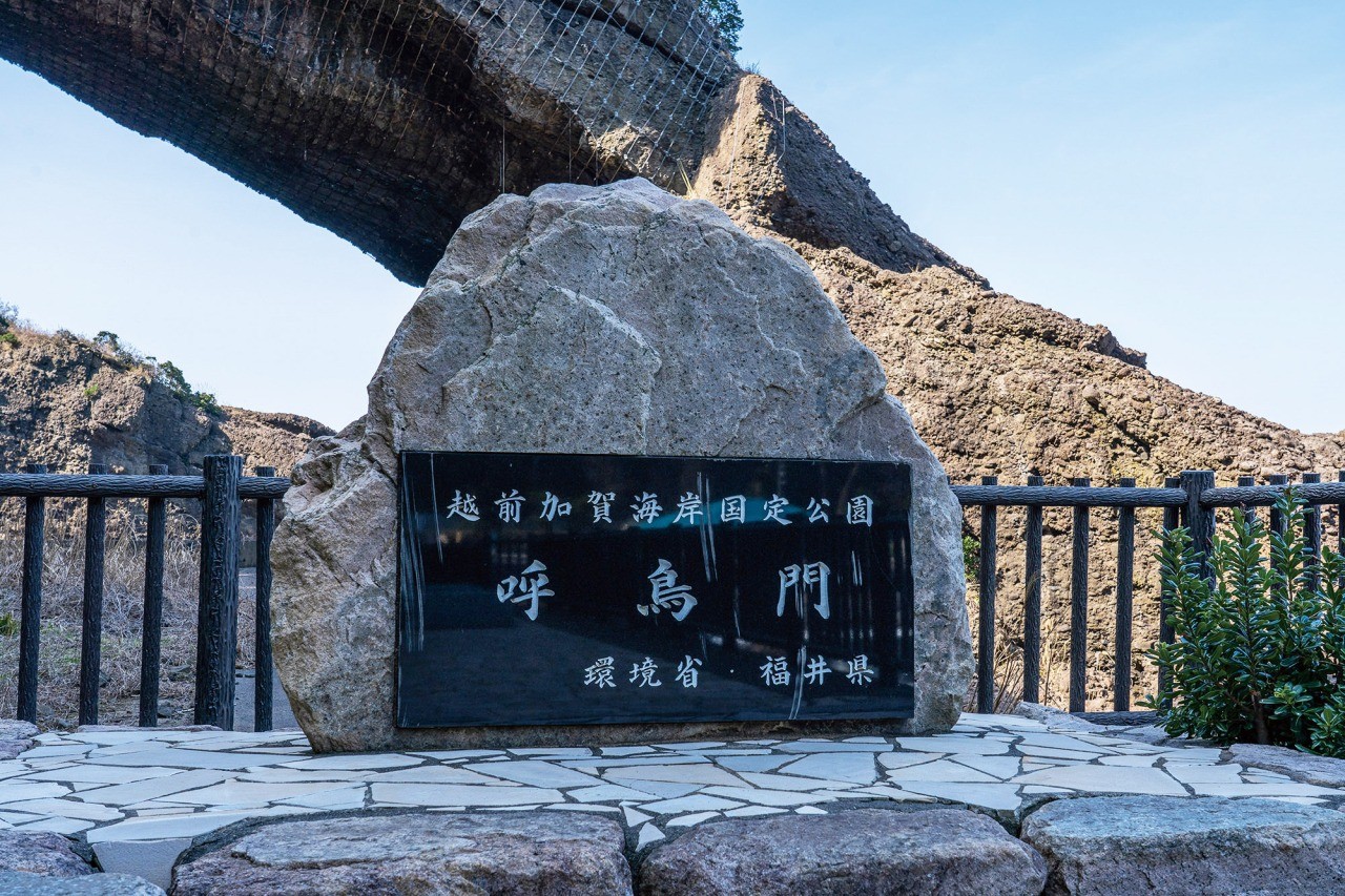 トイレ！こいこのブログ