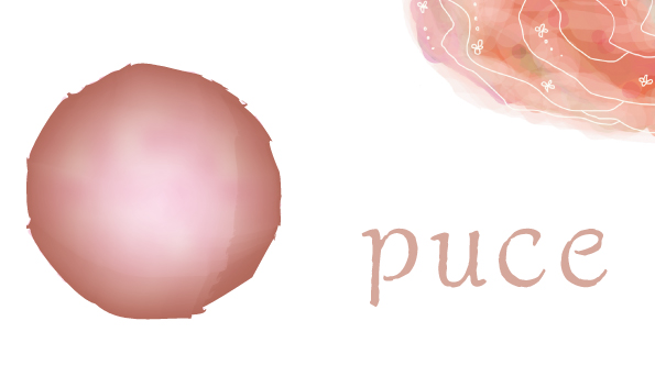 伊佐大泉ペロペロ 芋焼酎 大山酒造 紀乃島屋 鹿児島芋焼酎通販・販売