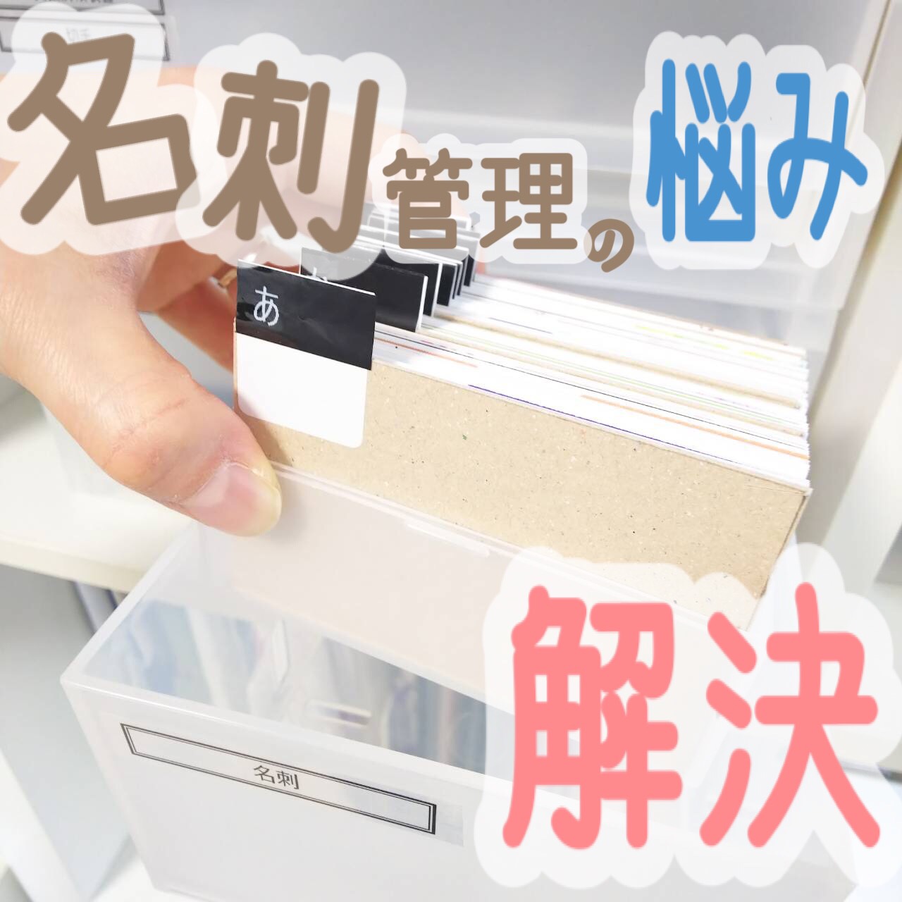 100均「カードケース」の商品情報とサイズ・収納例。セリアで販売 4906137313913