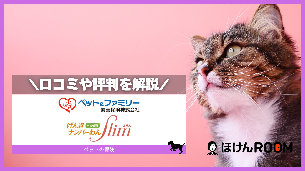 リトルファミリー少額短期保険 わんデイズ・にゃんデイズ のクチコミや評判、補償内容を解説ペット保険 比較 - 価格.com