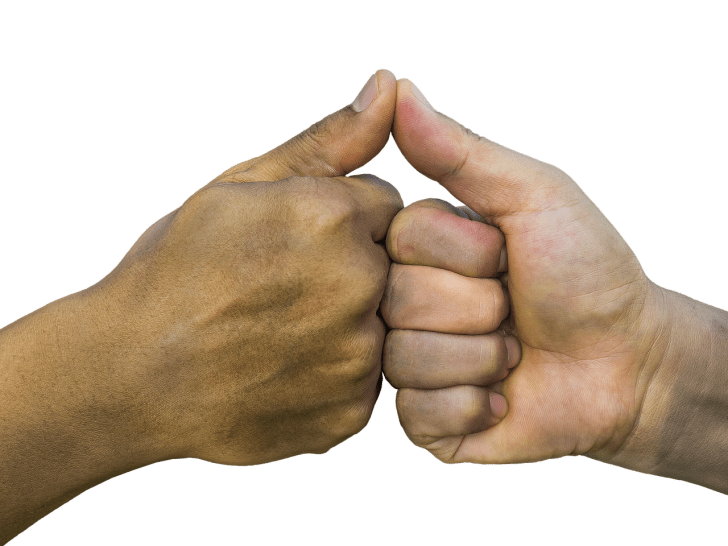 三ツ星貿易 エクセレンス 電気冷蔵庫 MB-6110C ワインクーラー値引き可