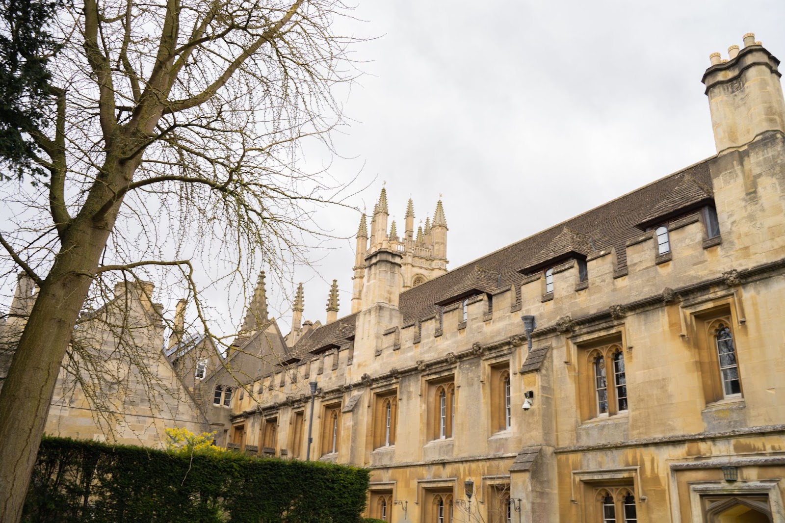 久子さま、高円宮家所蔵の「根付」ご紹介 千葉・佐倉市立美術館で企画展 1 2ページ- 産経ニュース