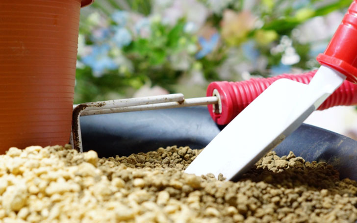 日向土 ボラ土 の特徴と使い方多肉植物に適した土の購入レビューおしえて！田舎センセイ