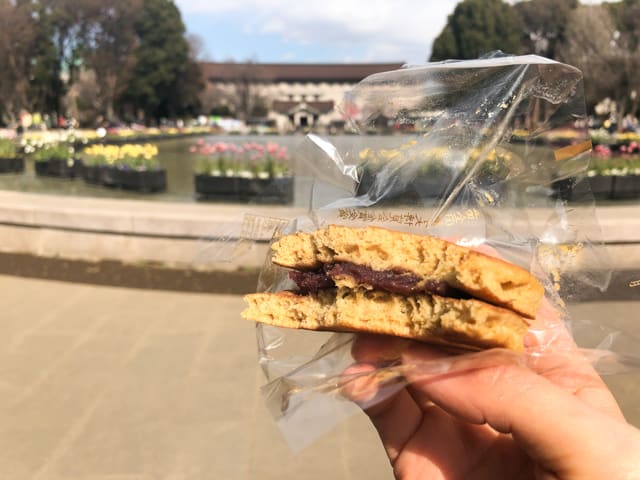 黒松 東京 東十条- ひろとカフェと
