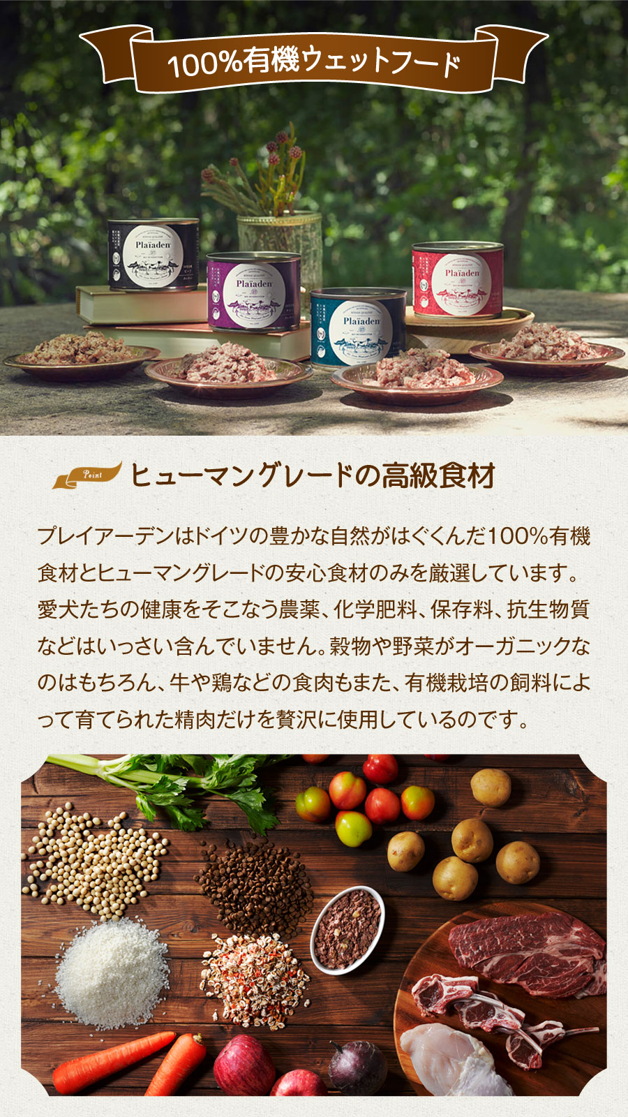 お客様の声一覧ウェディングドレス・レンタルはブライダルハウスつくば・水戸・鹿島