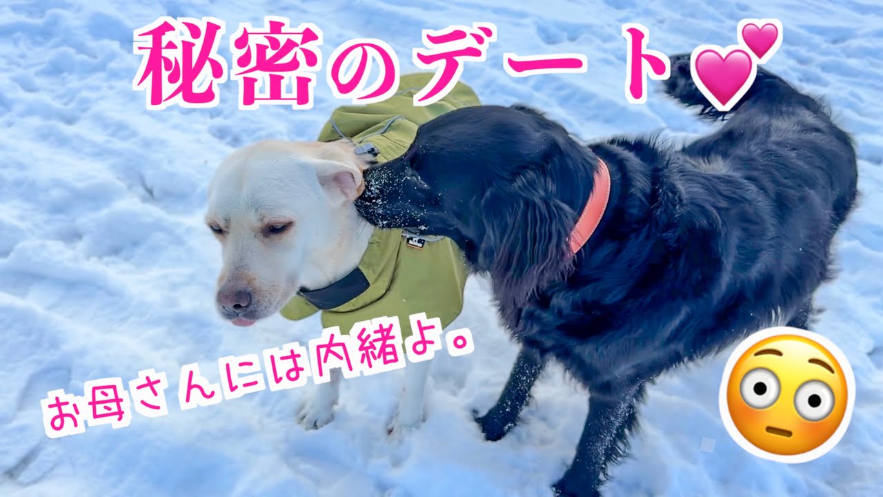 王道シンプル♡顔文字 絵文字 気持ち伝える - LINE絵文字LINE STORE