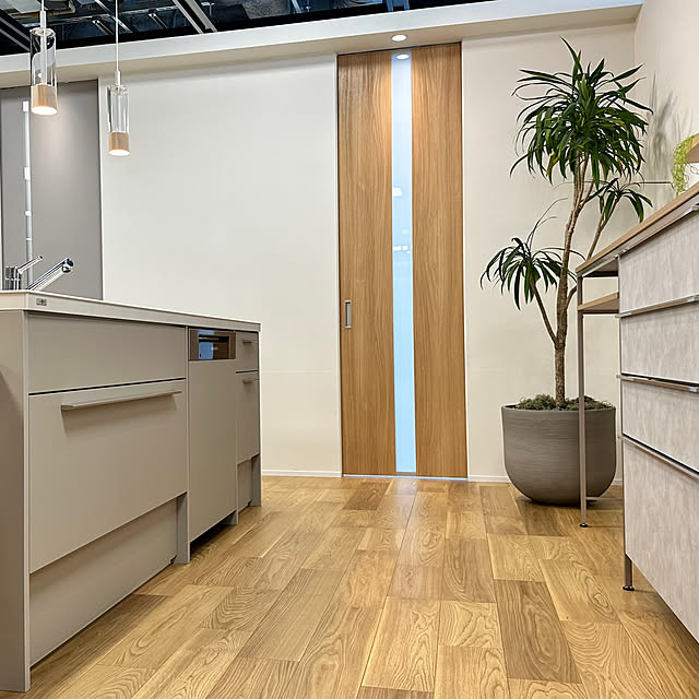 LIXILリクシルキッチンリビング収納カップボードカノール カスタマイズ食洗機キッチンリフォーム施工業者関東東京千葉埼玉神奈川キッチン・蛇口の交換・取り付け株式会社TSP