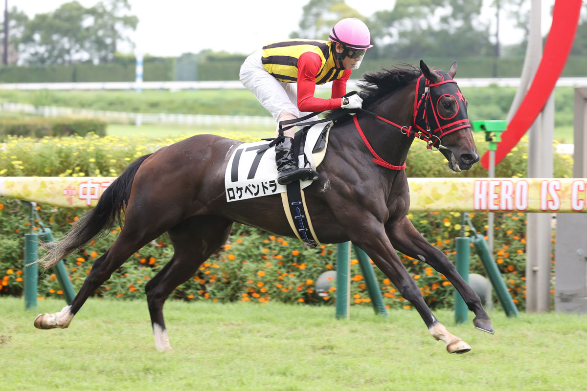 株式会社ASNOVA 2025年3⽉期第2四半期 決算発表 証券コード：9223株式会社ASNOVAのプレスリリース