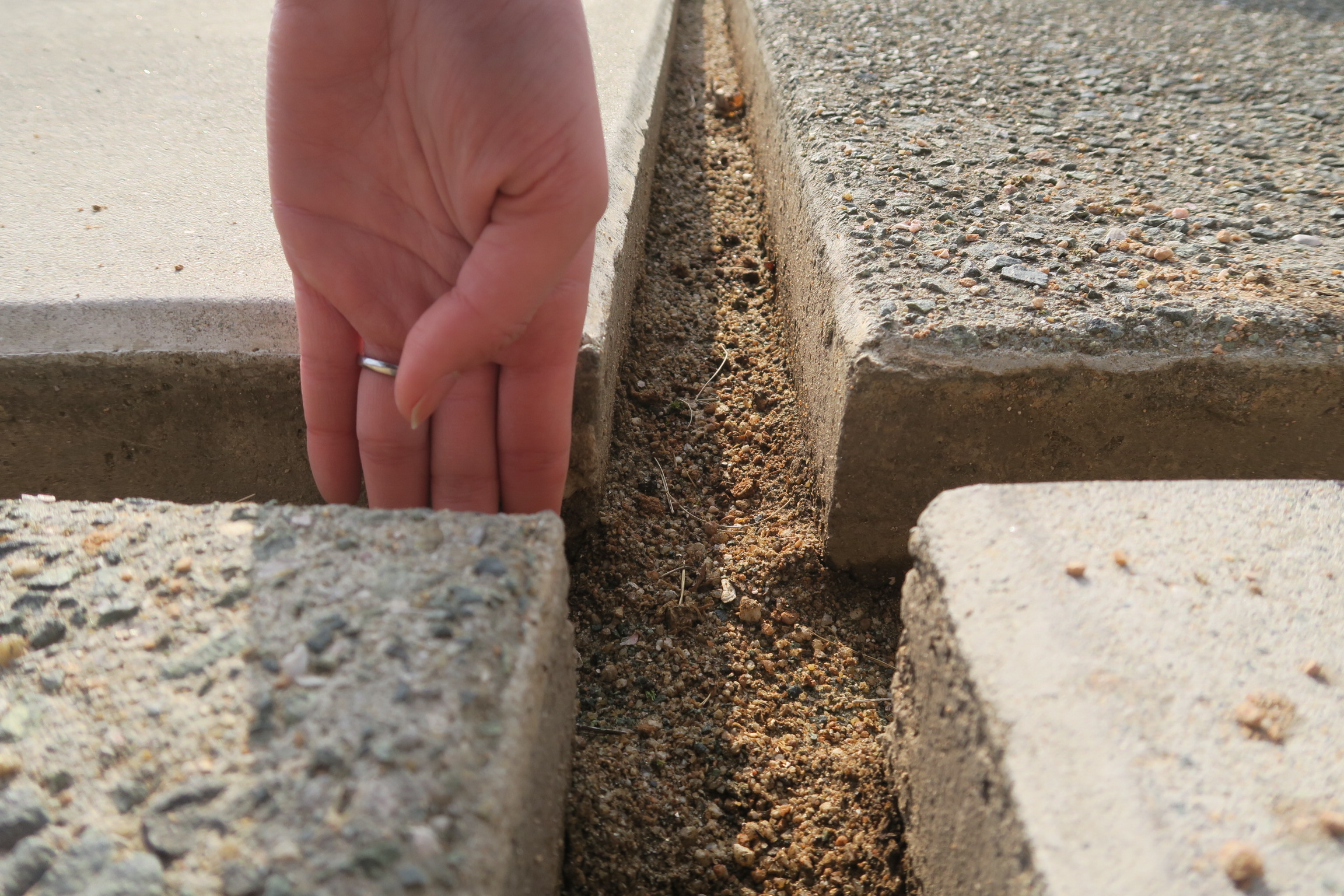 コンクリート目地で変わる！駐車場デザインでおしゃれ外構を実現 追加費用ゼロ 庭ファン