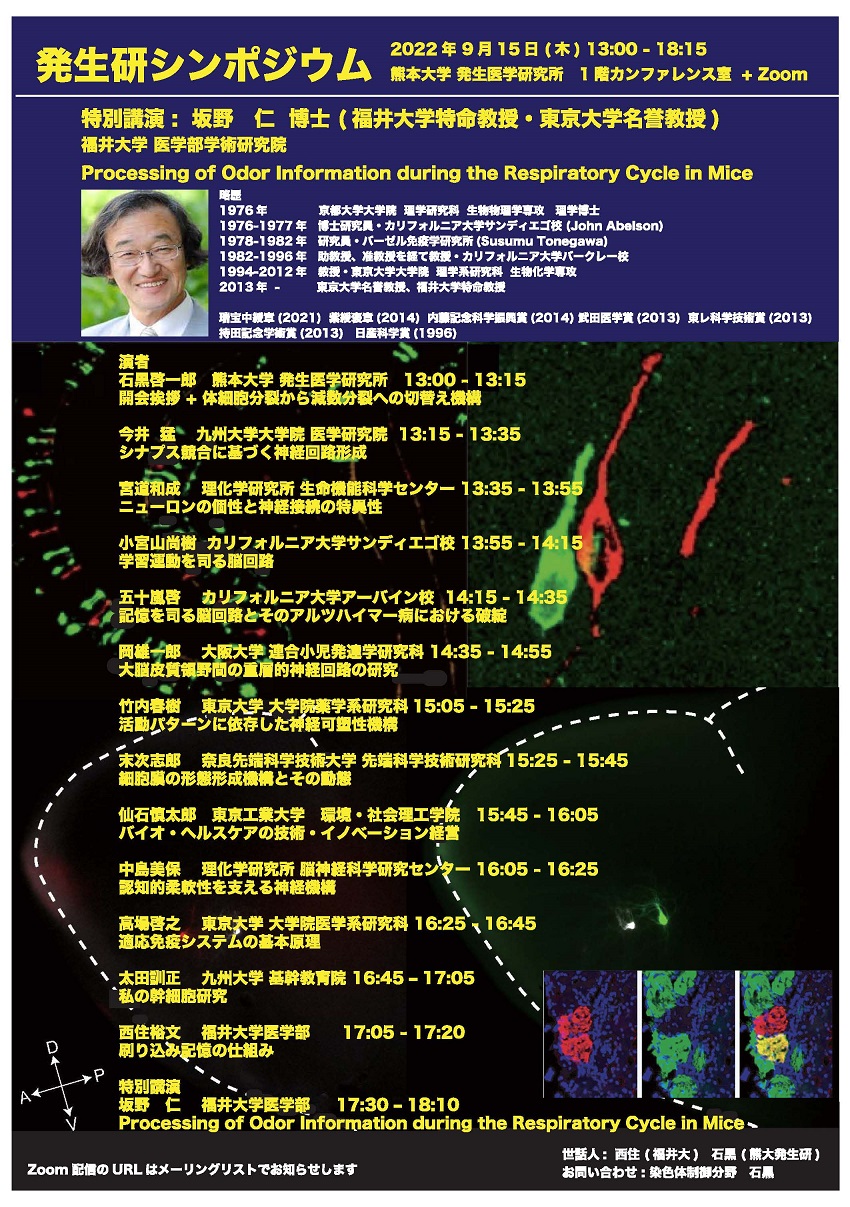 9月」を英語で表現発音や略、由来は？同時に豆知識も習得！マイスキ英語
