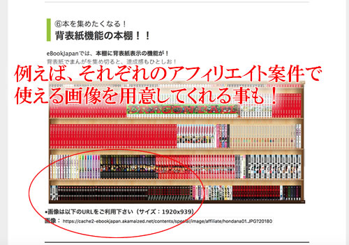 アフィリエイトで商品などのキャプチャ画像を使用してもいいのか？サンデーアフィリエイト