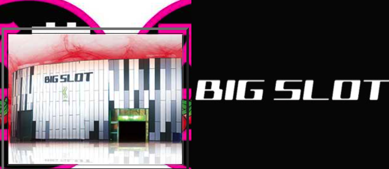 ビッグスロット苫小牧akasaka0474 」のプロフィールPinterest