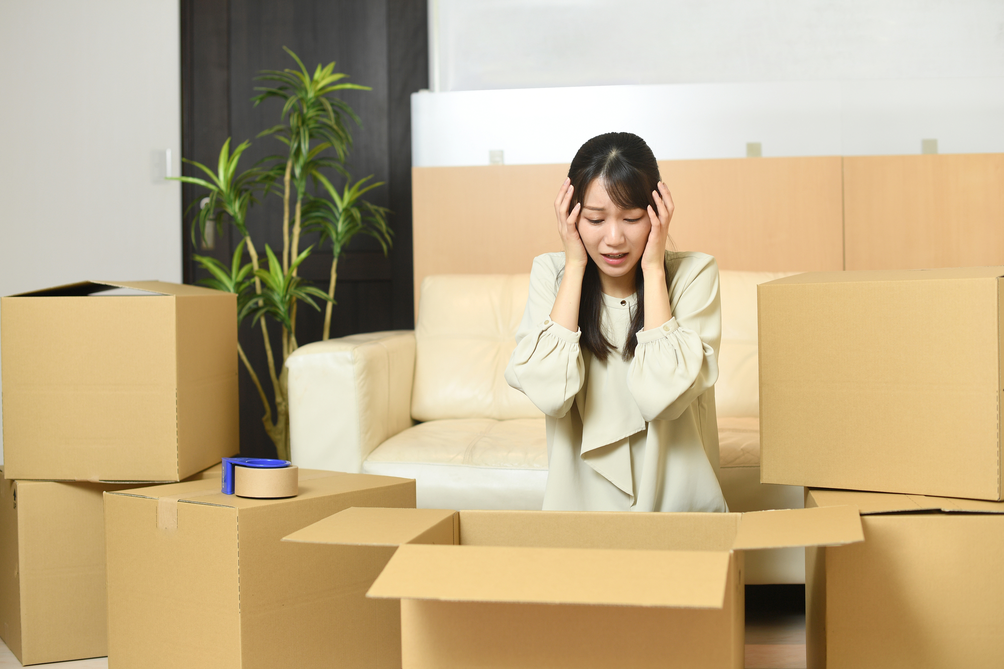 メインスペース編 ニトリの一人暮らしの収納テク狭い賃貸で垢抜け部屋を目指す！ニトリネット 公式家具・インテリア通販