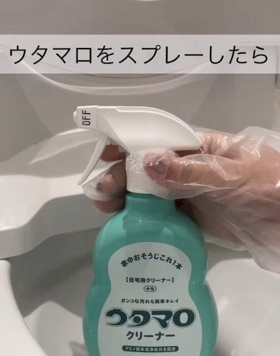 楽天市場 アース製薬 らくハピ ねらってバブルーン トイレノズル 200ml×2個 トイレ 便器 掃除 泡 洗剤 トイレ用洗剤 スプレー :よろずやマルシェ