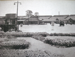 10月6日は何の日 4年前、築地市場が83年の歴史に幕ツギノジダイ