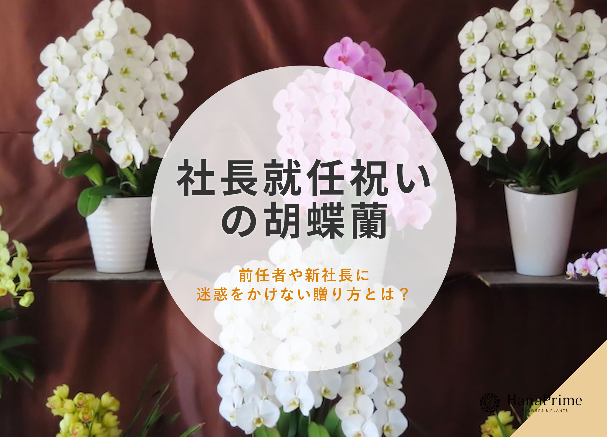 社長就任祝い、会長就任祝い、昇進祝い、退任祝いなら - 感謝の筆文字≪公式≫本店