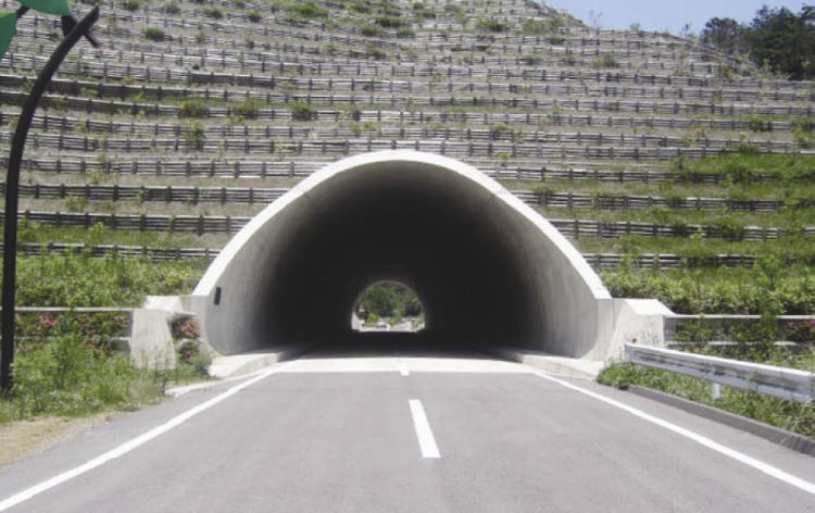 January 2019：THE SITEKAJIMAダイジェスト鹿島建設株式会社