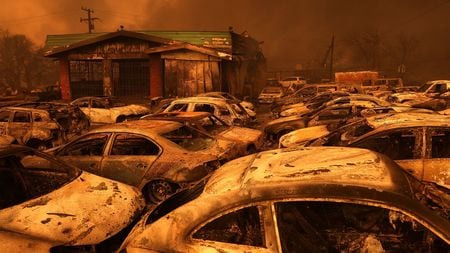 ＬＡ山火事で広がる大気汚染、遠方で健康被害の恐れも - CNN.co.jp