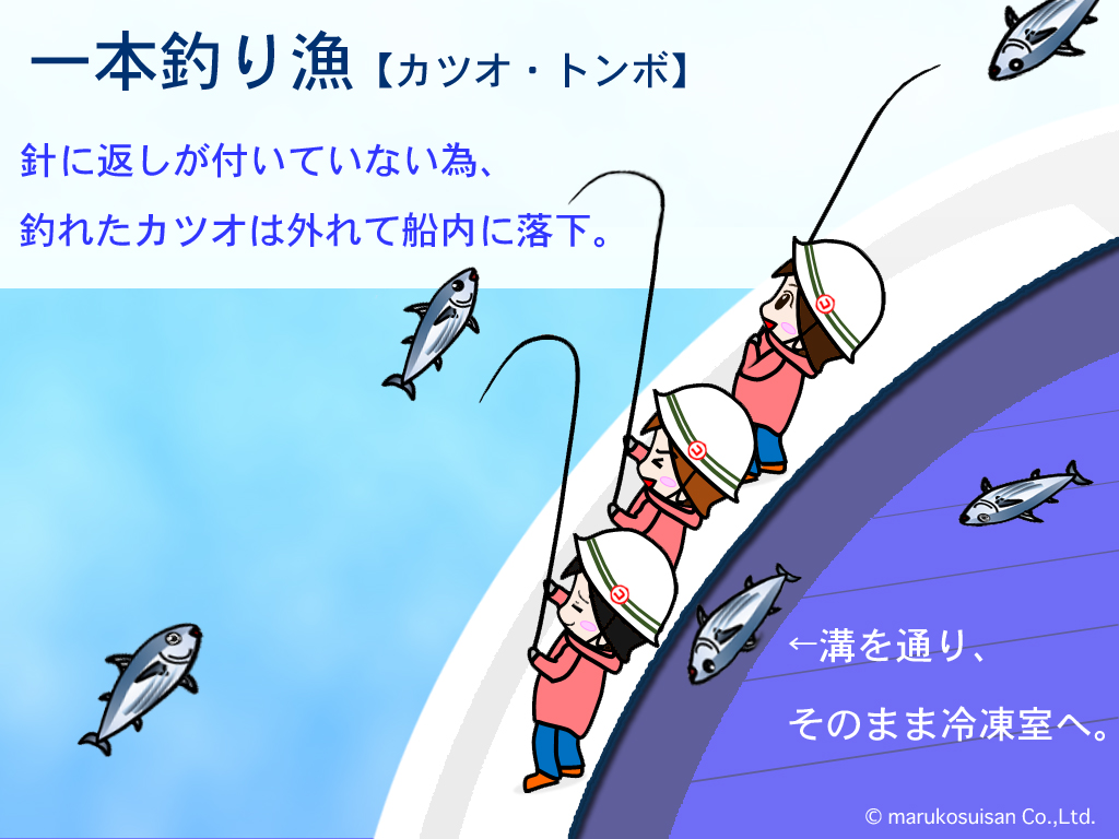定置網漁のメリットが知りたい