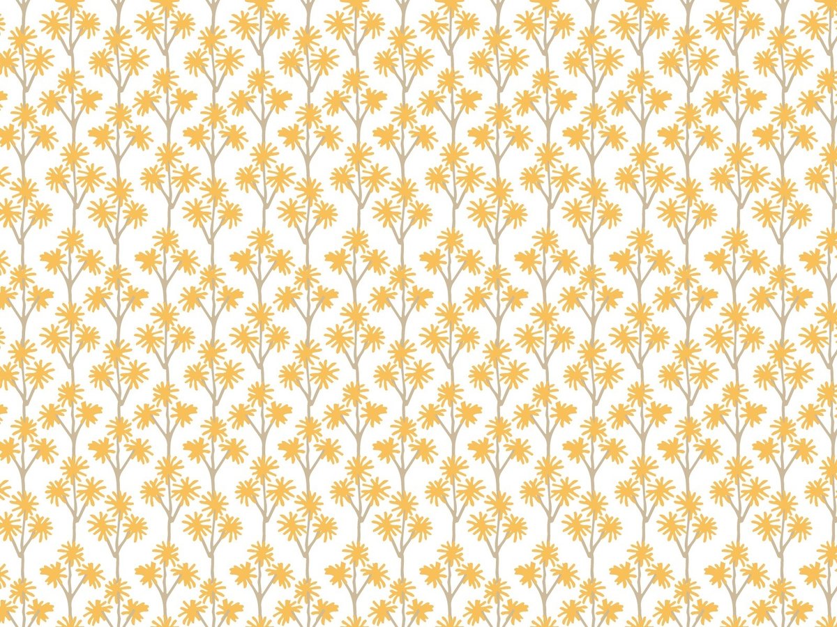 紙幣の原料「ミツマタ」の特徴や魅力を解説します！公式 TSUKIGIみつまた