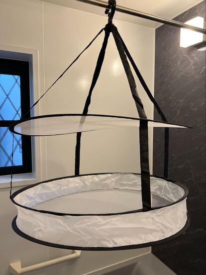 ダイソーの「平干しネット」が便利すぎ！コスパ最高、即買い必至のお洗濯アイテム - IZILOOK