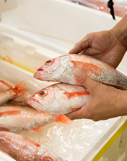 魚盛神戸流通活性化推進事業