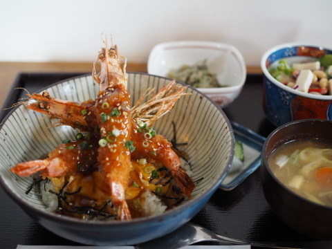 泉ヶ岳のふもとにある逗や坊です 「とうやぼう」と読みます おいしい野菜を中心に丁寧に作られた料理を食べれる良店です おすすめランチ食べました主菜は「豚ヒレ肉の蓮根挟み揚げ」でした 豚ヒレ肉が主役だと思いきや完全に蓮根が主役です 肉厚でコリコリで甘味がある