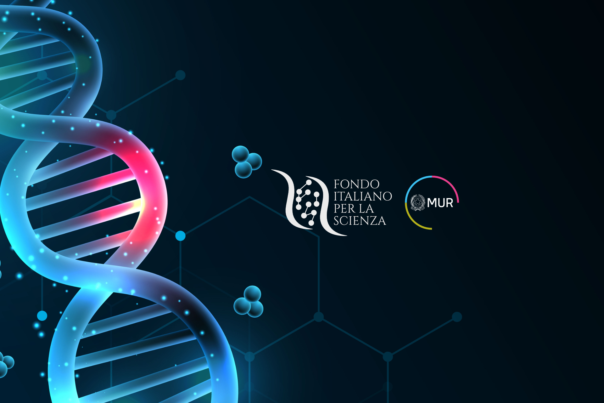 FIS Ski Jumping World Cup - Wikipedia