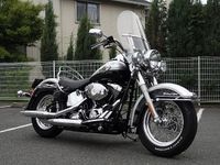 1950 F ドイツ 1 マーク - KM110 - NGC AU 詳細 硬貨・コイン