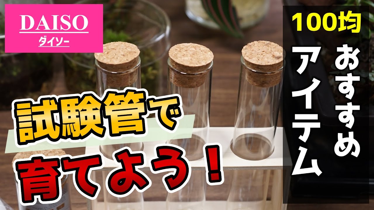 ダイソーの試験管で憧れのリンクチューブを手作り♪ プチプラ花コーデ Vol.76GardenStoryガーデンストーリー