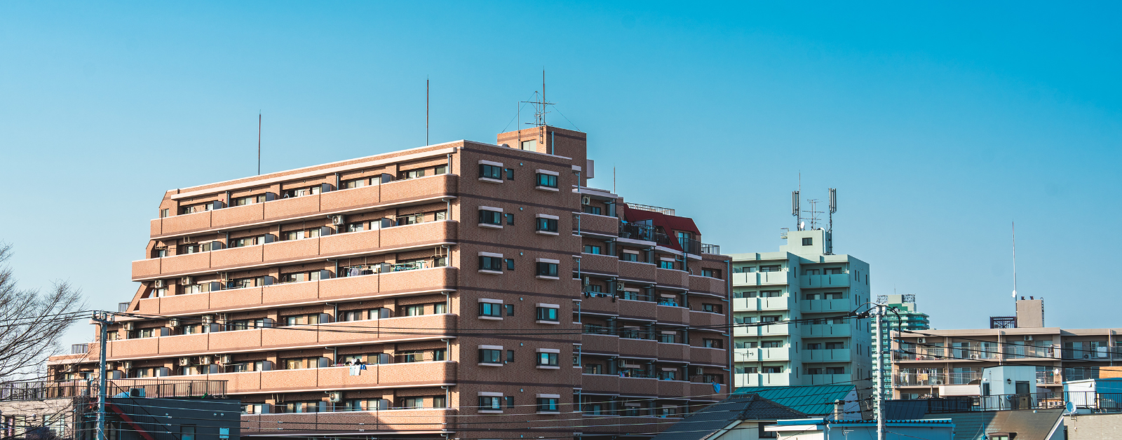 葛飾区は住みやすい？タイプ別にオススメのエリアや治安をご紹介