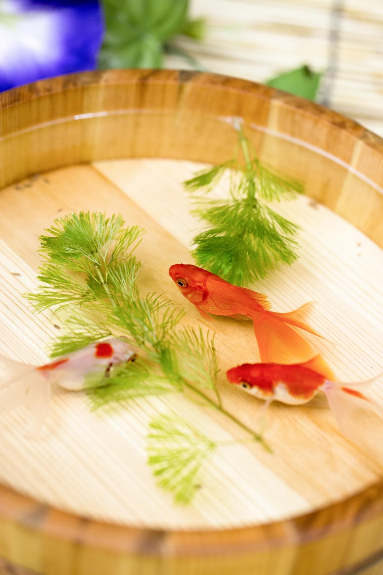 商売繁盛に効果のある待ち受け・壁紙 画像集 スマホ・iPhone・パソコンＨＢブラザーズマガジン