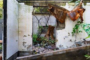 心霊スポット イノチャン山荘 佐賀県オカルトラベル