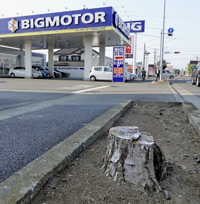 ビッグモーターが群馬県に謝罪 太田店前の街路樹枯死で上毛新聞電子版群馬県のニュース・スポーツ情報