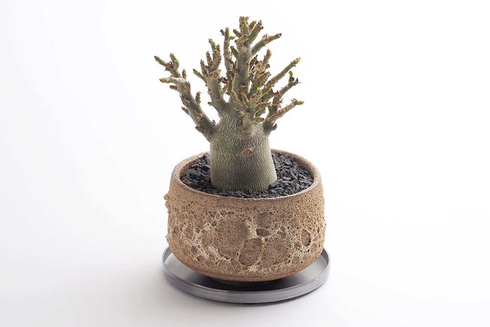 東京計器株式会社本社 の求人・採用情報機械・電気エンジニアの転職なら-コグナビ転職