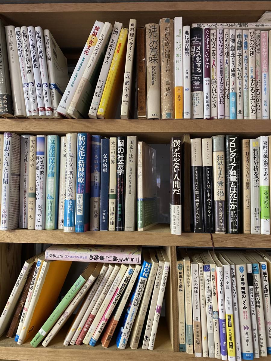 レンゴー 「現場のチカラ」 ダンボール製スタッキング収納箱 大サイズ 1梱包 5個入オリジナル - アスクル