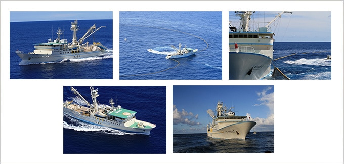 まき網漁業について – 東洋漁業株式会社