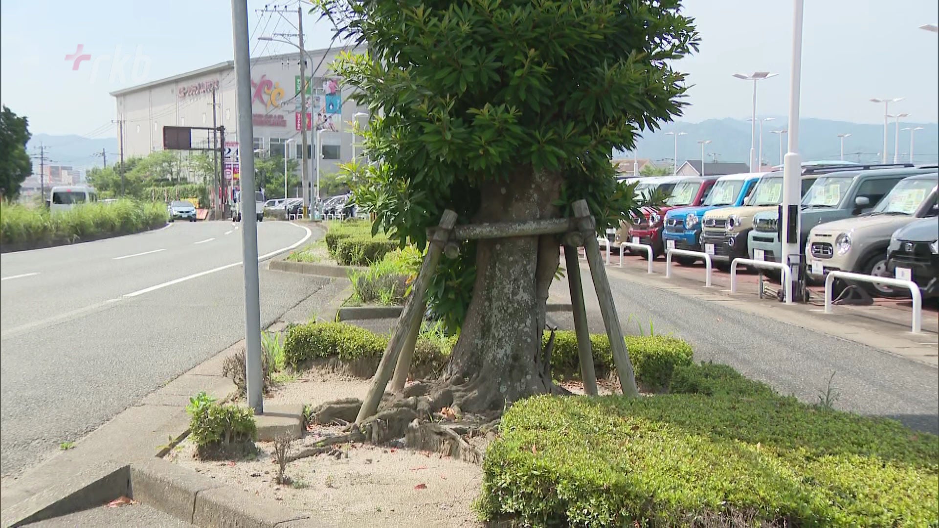 新会社名看板に ビックモーター⇨WECARS 粕屋の店舗で九州初営業福岡毎日新聞