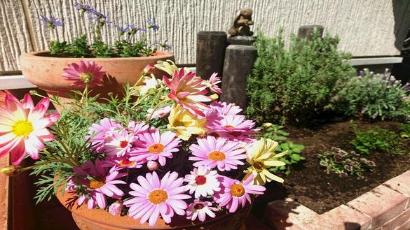 ガーデンアクセサリ ポポラレ ジョーロ 1.4L インディゴ 4個入り 35105代引き不可p385 Amazon無印良品 立てられるジョウロ幅57.4×奥行13×高さ25.5cm 4L 38327608 MJ-VW1収納ケース・ボックス オンライン通販