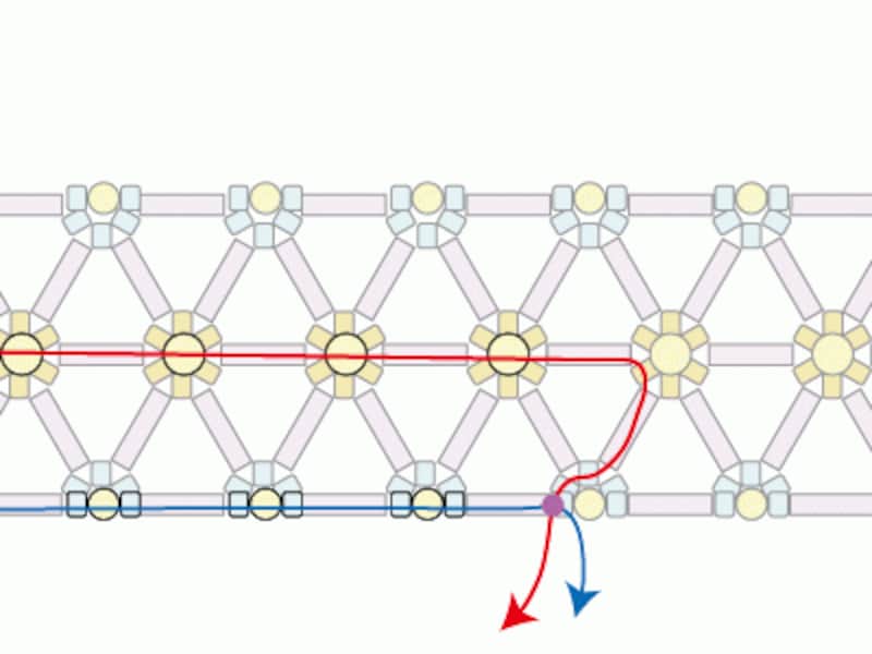 テグスの結び方！ 釣り糸がほどけない簡単で最強の結び方をご紹介