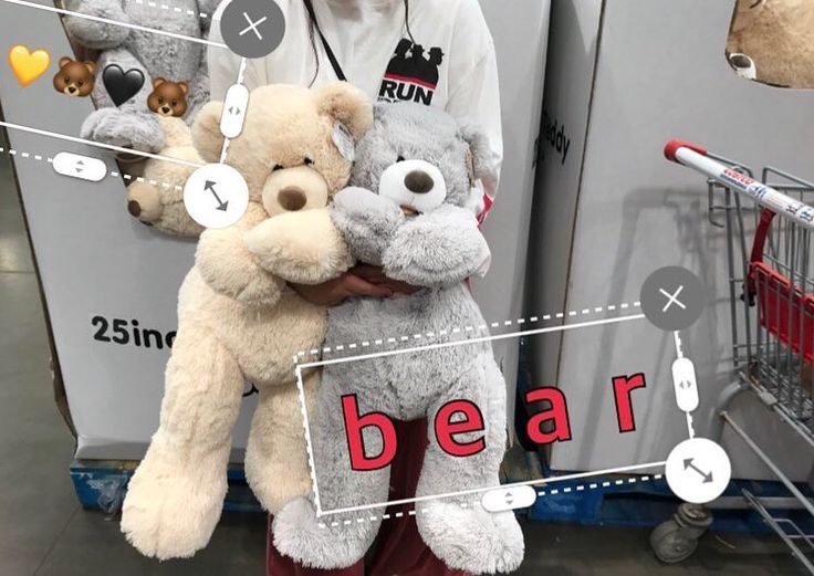 コストコくまのぬいぐるみ値段は？クーポン狙うとさらに安かったかも！ - 選びながら生きていく☆