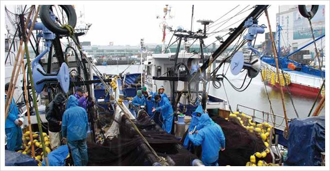 まき網漁具について詳しく紹介してみた - 海ペディア