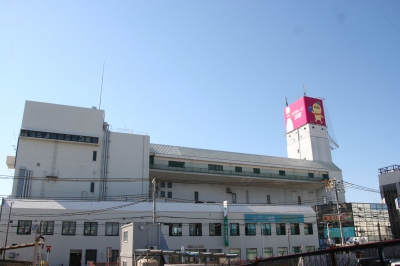 貝塚店のチラシダイエ