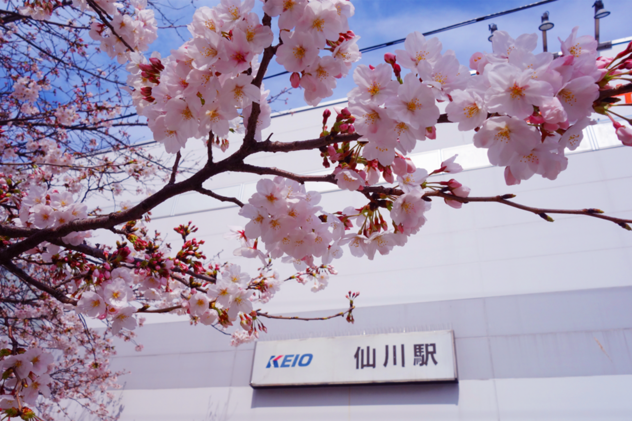 レイエス選手、引退希望の言葉にファン感動 2025 09 19 SNSのバズまとめ - Yahoo!リアルタイム検索