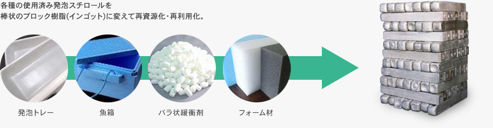 生体梱包資材 発泡スチロールＢ ＴＩＳー２１０Ｋ ＩＶ幅４３×奥行き３５×高さ１９ｃｍ13854 1個 直送品- アスクル
