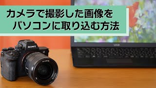 最新 iPhone写真・動画をwindows10 11のPCに入れるやり方4つ-iCareFoneTenorshare Hongkong Limitedのプレスリリース