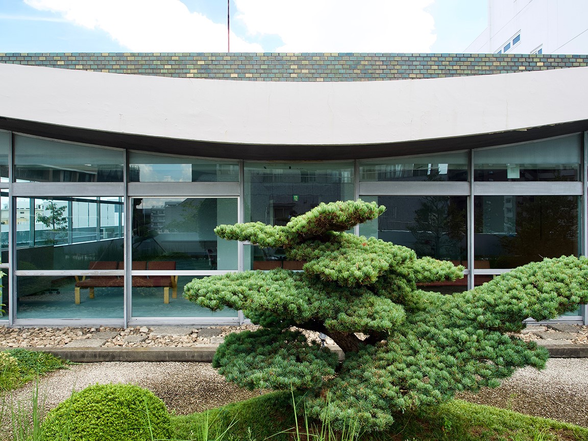 塩見泰子予報士「牛田さんが名付けてくれた牛•塩コンビ！いつか再結成できたら 」 - サンスポ