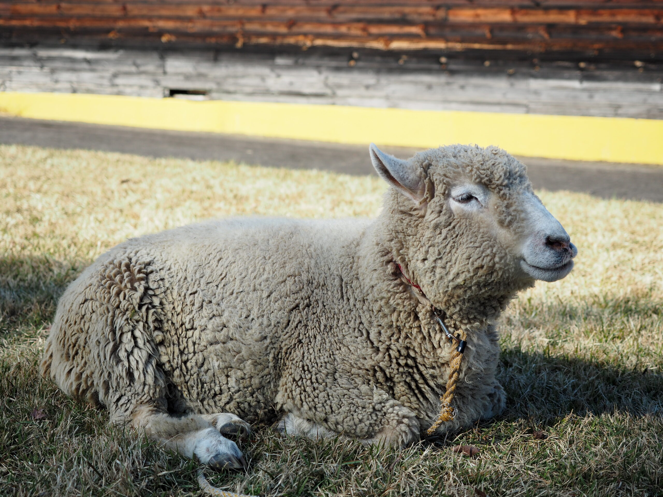 写真一覧：アイスクリームショップ 伊香保グリーン牧場 - Retty レッティ日本最大級の実名型グルメサービス