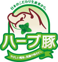 STUDIO D'ARTISAN D'ARTISAN ステュディオダルチザンFLASHER 半袖 Tシャツ メンズ プリント アメカジ フロッキーフラッシャー 2ピッグマーク 豚 ブタ 9754 : JEANS BUG ジーンズバグ- 通販 - Yahoo!ショッピング